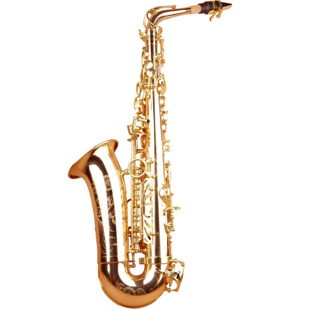 Amazon | E-Flat Saxophone ゴールドラッカーチューナーケース 手帳
